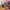 100 Dateable Characters