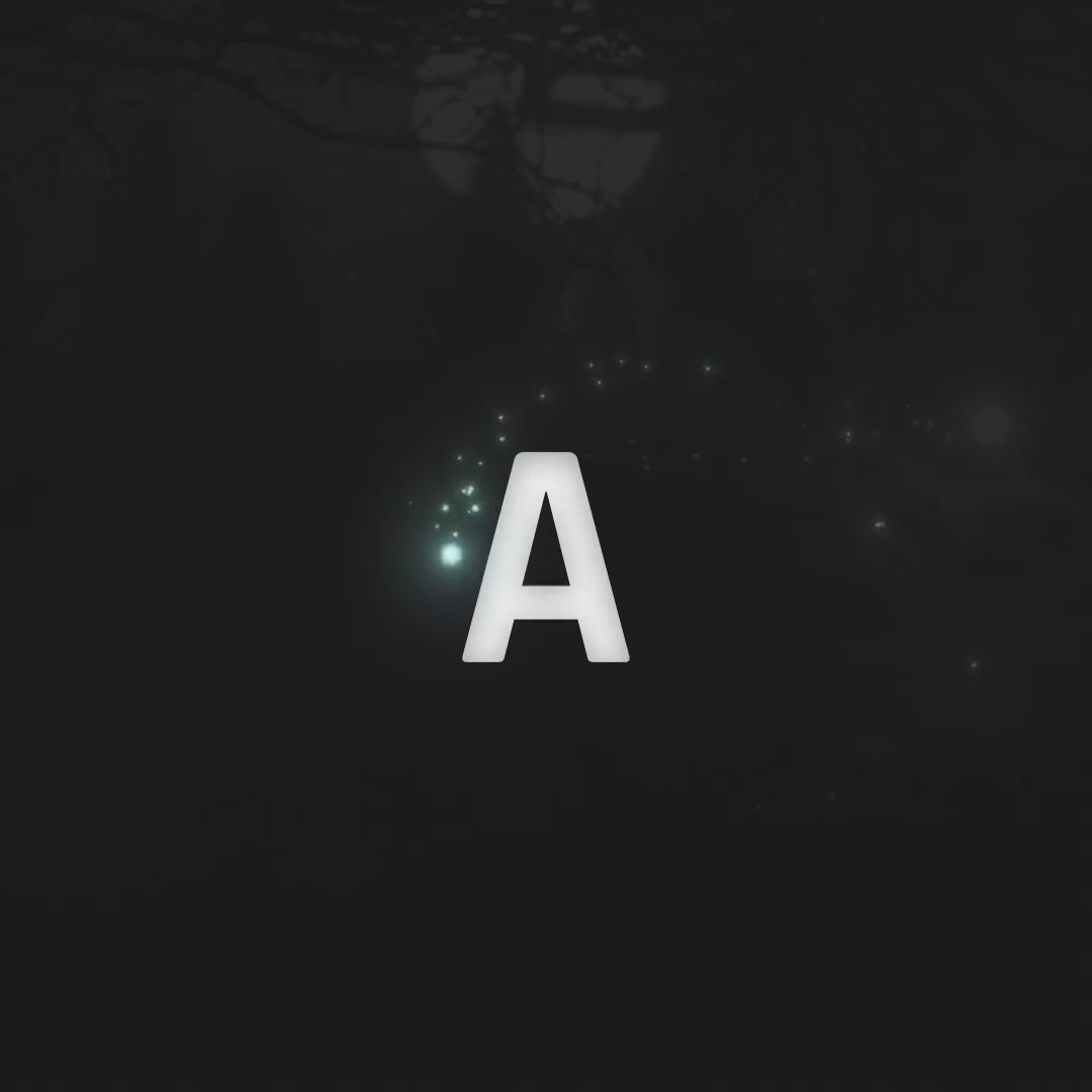 Night Forest Animated Stinger Transition with glowing text and sparkles on a dark background.