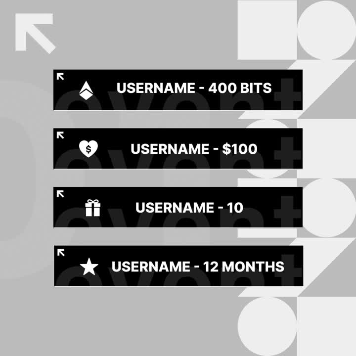 Monochrome Static Stream Overlays. Black and white design with bit and donation details.